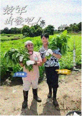 葡萄影院户外综艺一起去露营吧海报